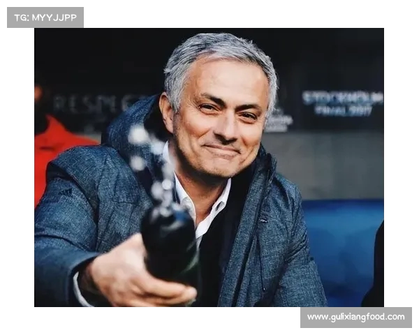 西甲中场组织核心分析：战术角色、技术特点与球队影响力全面剖析